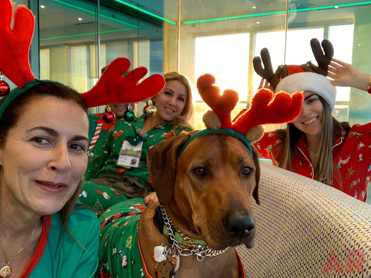 Christmas Day at Nicklaus Children’s Hospital | Ale Ramos Therapy Animals