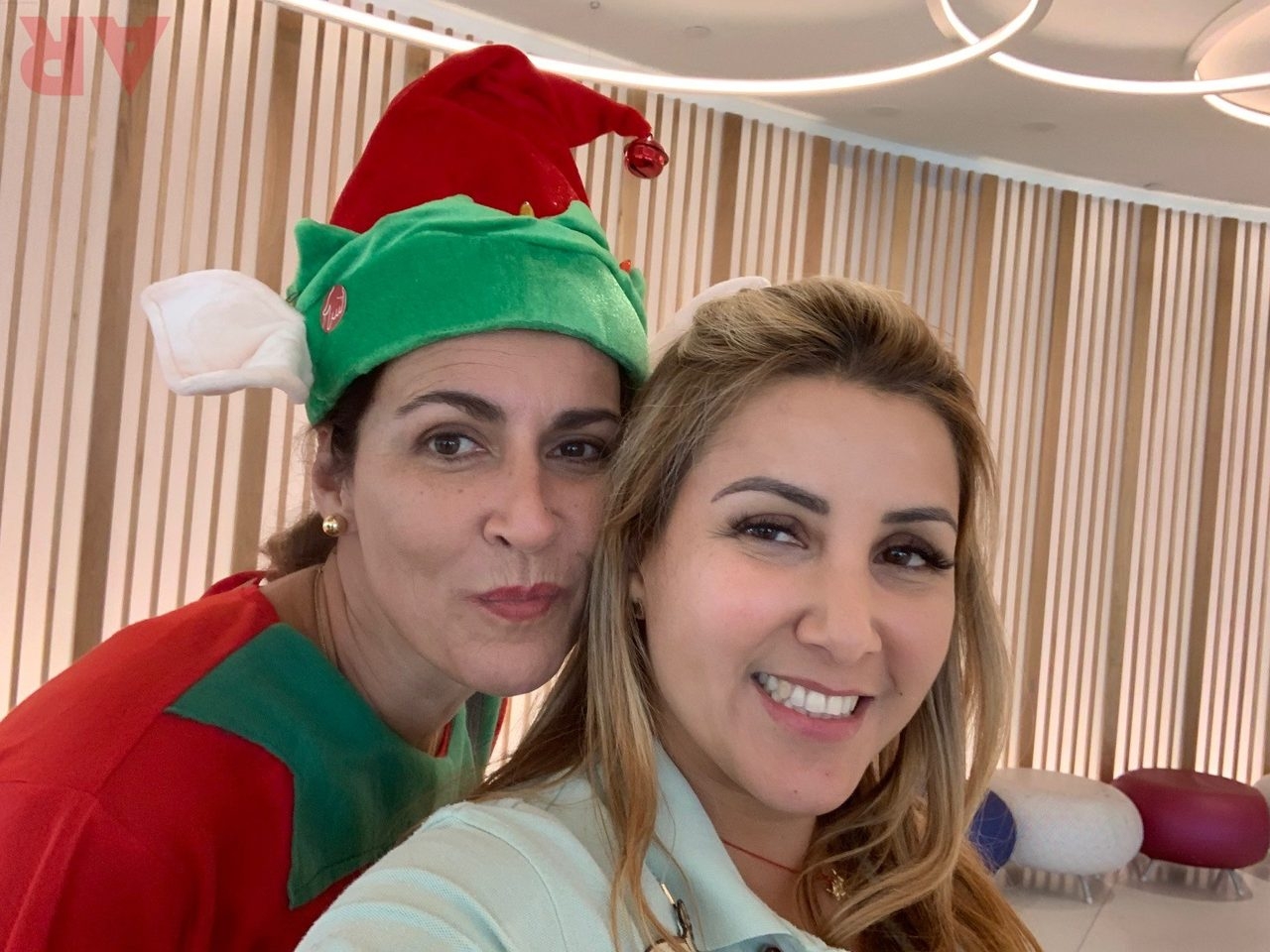 Christmas in July | Ale Ramos Therapy Animals
