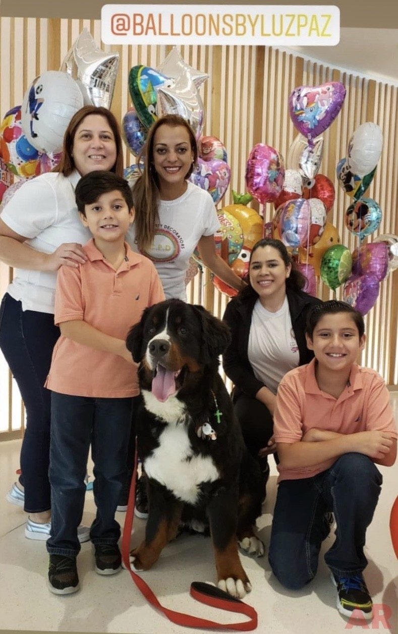 Christmas in July | Ale Ramos Therapy Animals