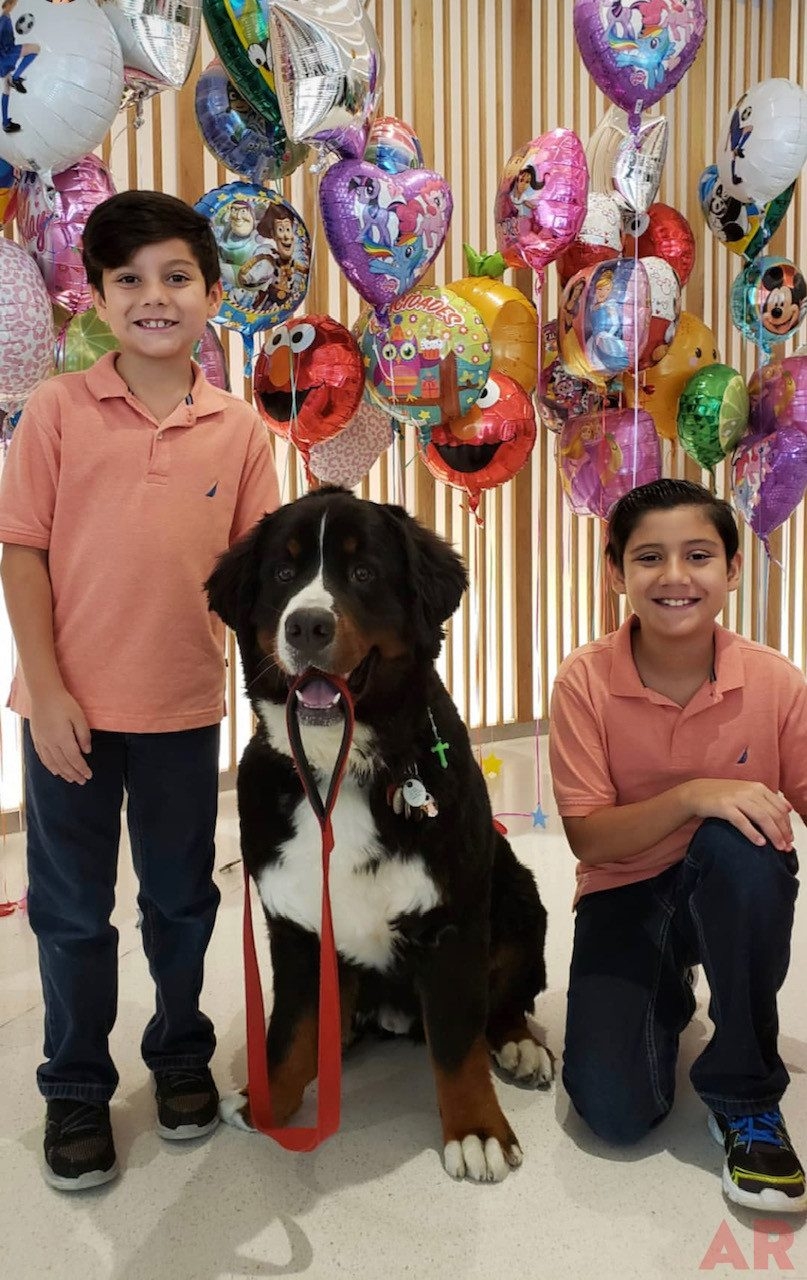 Christmas in July | Ale Ramos Therapy Animals