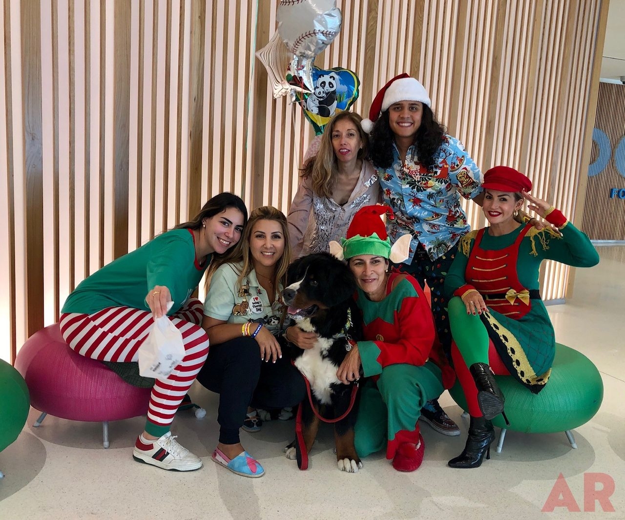 Christmas in July | Ale Ramos Therapy Animals