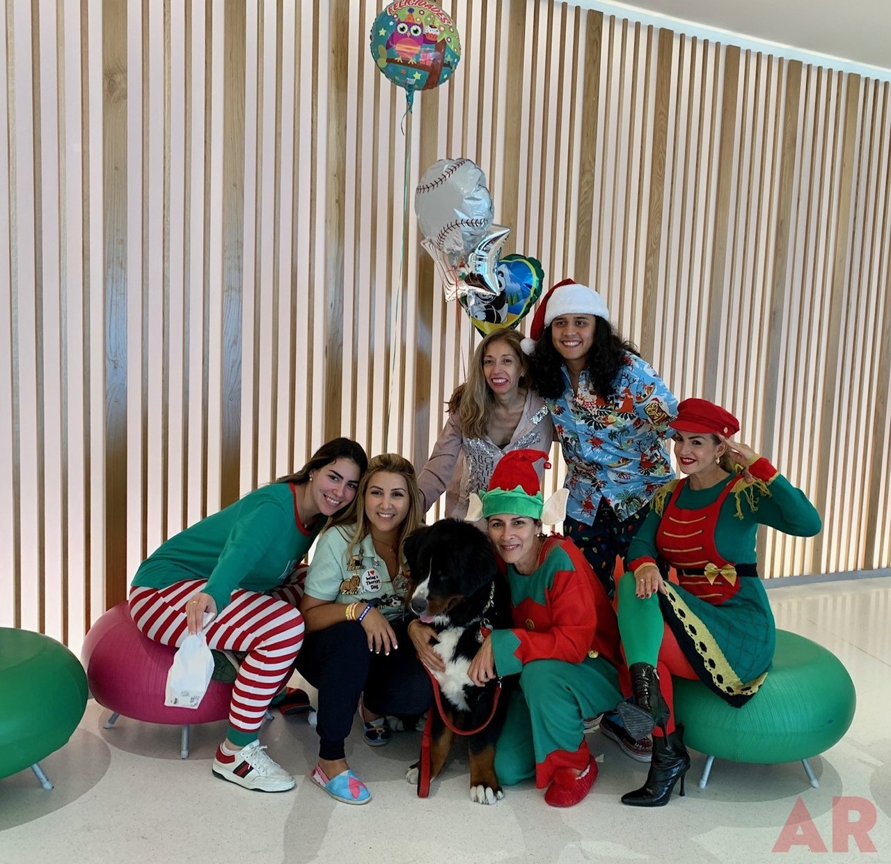 Christmas in July | Ale Ramos Therapy Animals
