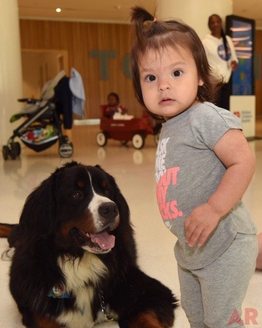 DNA Day by Nicklaus Children’s Hospital | Ale Ramos Therapy Animals