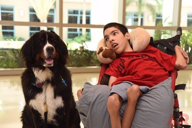 DNA Day by Nicklaus Children’s Hospital | Ale Ramos Therapy Animals