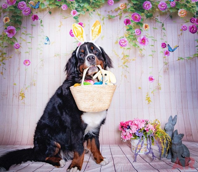 Easter Day | Ale Ramos Therapy Animals