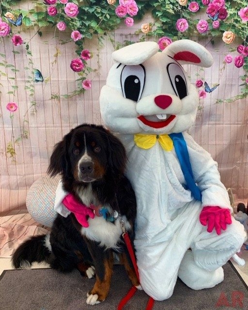 Easter Day | Ale Ramos Therapy Animals