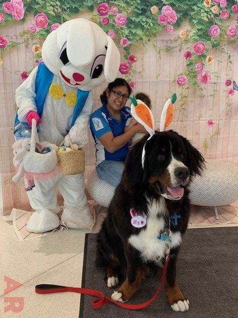 Easter Day | Ale Ramos Therapy Animals