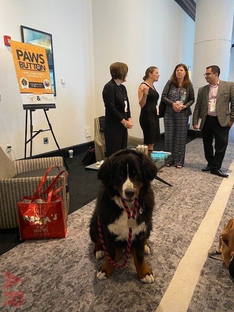 Special Host Apollo Tag Company Event | Ale Ramos Therapy Animals
