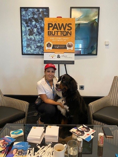 Special Host Apollo Tag Company Event | Ale Ramos Therapy Animals