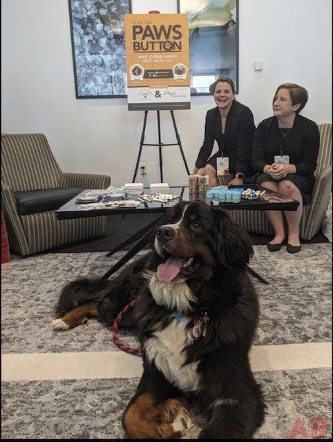 Special Host Apollo Tag Company Event | Ale Ramos Therapy Animals