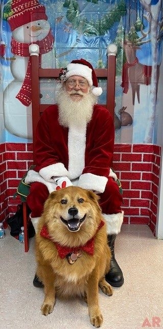Event Santa Claus by Nicklaus Children’s Hospital | Ale Ramos Therapy Animals