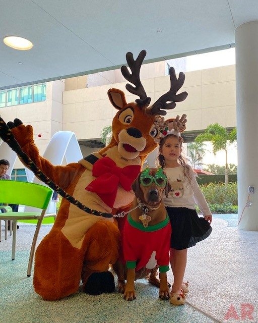 Festival of Light Ceremony by Nicklaus Children’s Hospital | Ale Ramos Therapy Animals