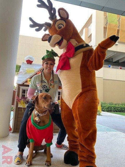Festival of Light Ceremony by Nicklaus Children’s Hospital | Ale Ramos Therapy Animals