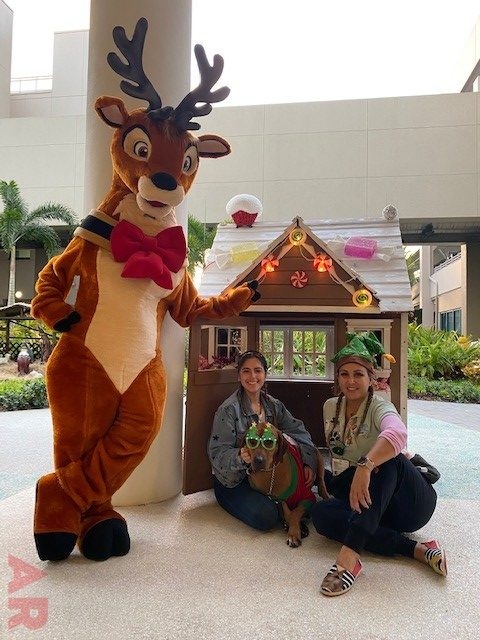 Festival of Light Ceremony by Nicklaus Children’s Hospital | Ale Ramos Therapy Animals
