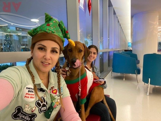 Festival of Light Ceremony by Nicklaus Children’s Hospital | Ale Ramos Therapy Animals