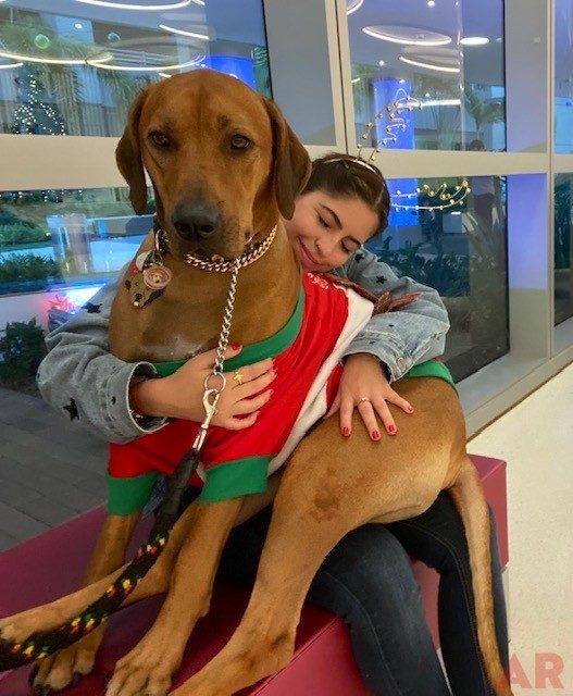 Festival of Light Ceremony by Nicklaus Children’s Hospital | Ale Ramos Therapy Animals