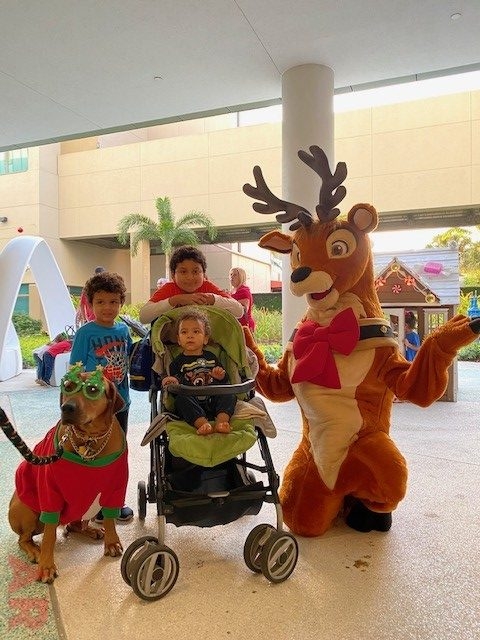 Festival of Light Ceremony by Nicklaus Children’s Hospital | Ale Ramos Therapy Animals