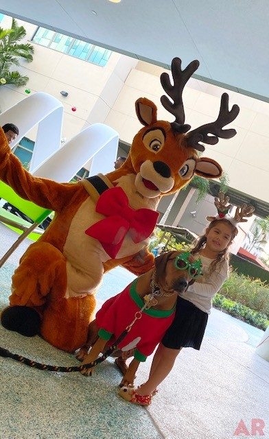 Festival of Light Ceremony by Nicklaus Children’s Hospital | Ale Ramos Therapy Animals