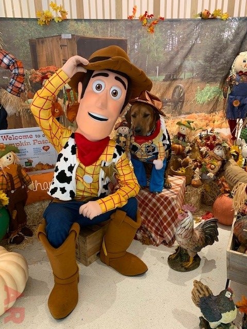 Halloween Party at Nicklaus Children’s Hospital | Ale Ramos Therapy Animals