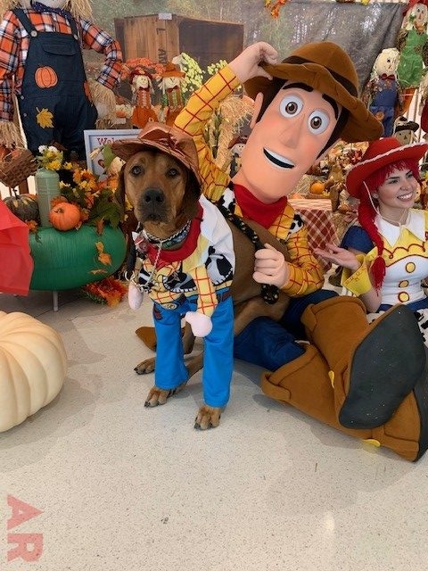 Halloween Party at Nicklaus Children’s Hospital | Ale Ramos Therapy Animals