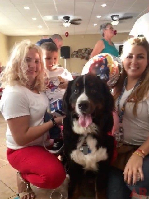 Kayson invite Apollo to celebrate his birthday | Ale Ramos Therapy Animals