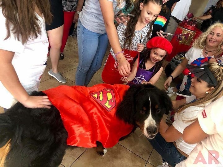 Kayson invite Apollo to celebrate his birthday | Ale Ramos Therapy Animals