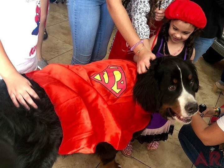 Kayson invite Apollo to celebrate his birthday | Ale Ramos Therapy Animals