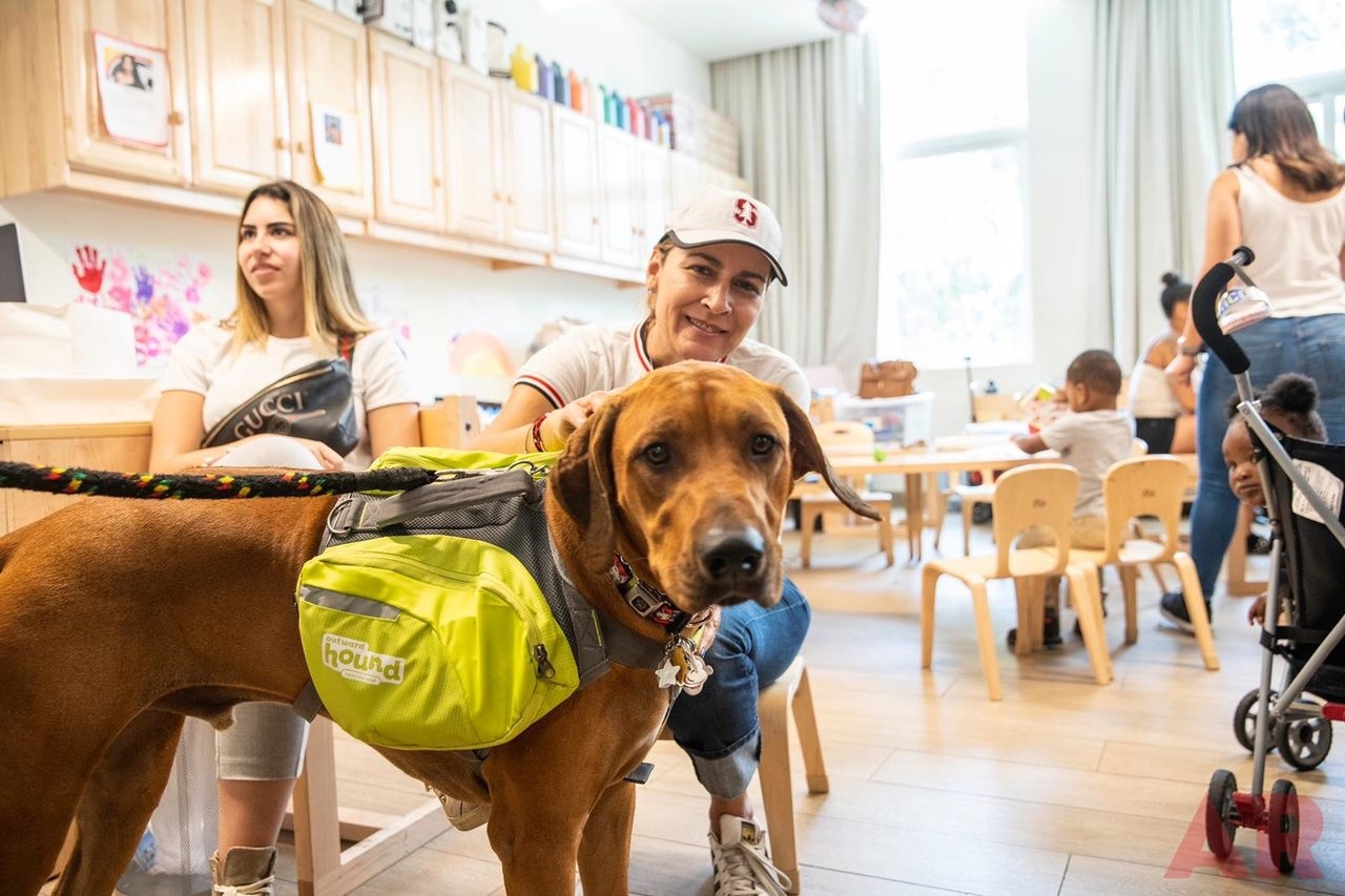 Lotus House Day by Star Kids Project | Ale Ramos Therapy Animals