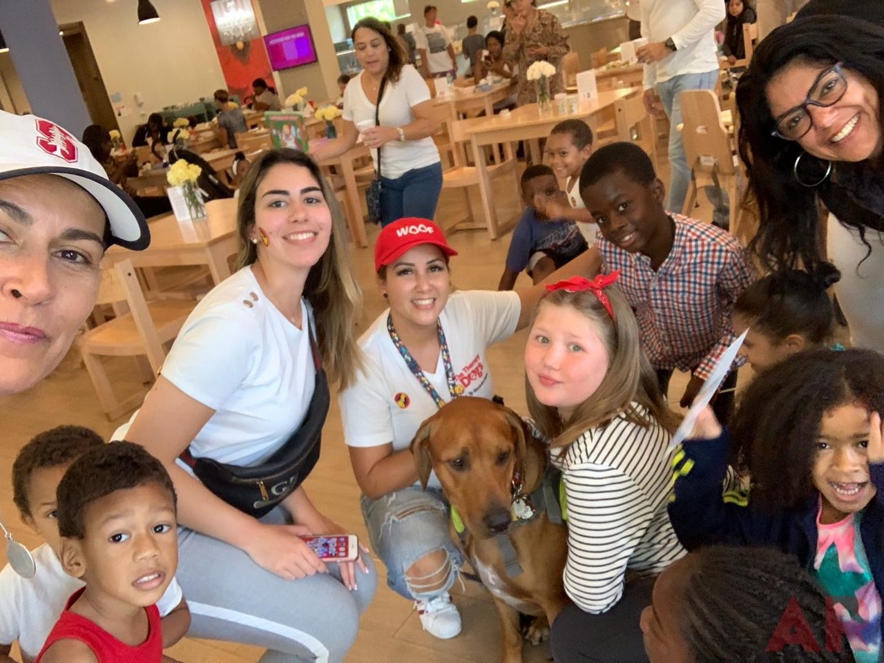 Lotus House Day by Star Kids Project | Ale Ramos Therapy Animals