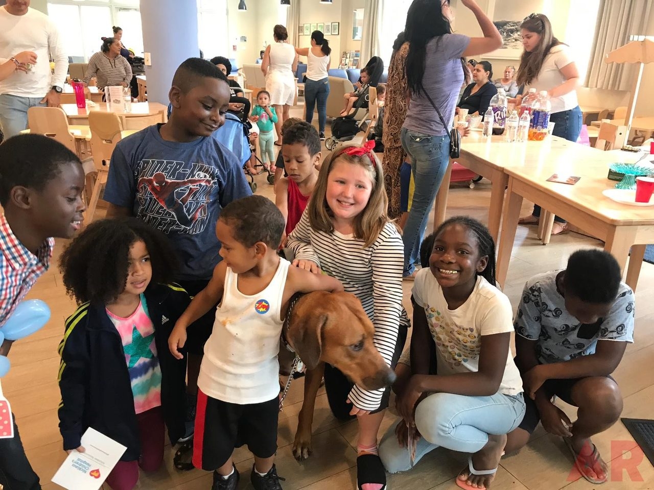 Lotus House Day by Star Kids Project | Ale Ramos Therapy Animals