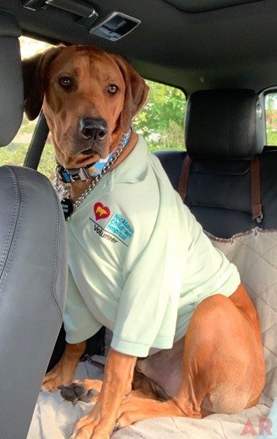 Odin Love | Ale Ramos Therapy Animals