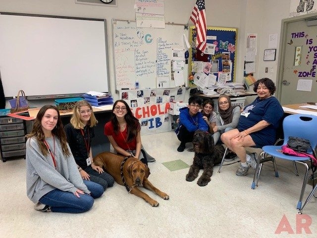 Odin visits at Senior High School MB | Ale Ramos Therapy Animals