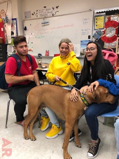 Odin visits at Senior High School MB | Ale Ramos Therapy Animals