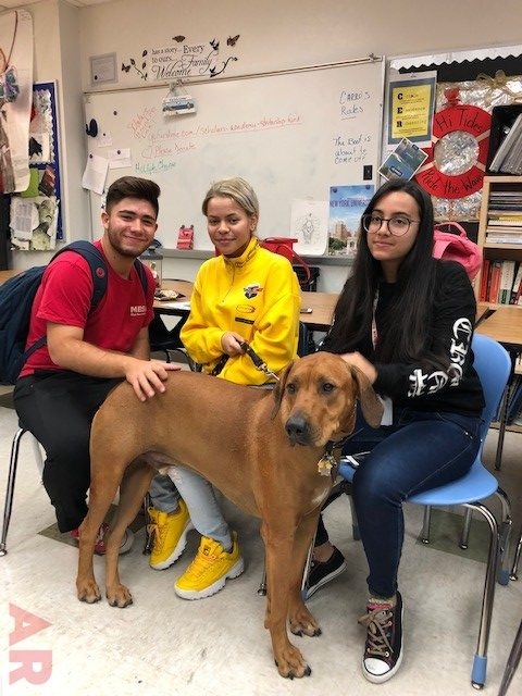 Odin visits at Senior High School MB | Ale Ramos Therapy Animals