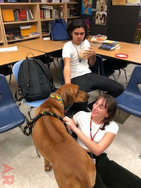 Odin visits at Senior High School MB | Ale Ramos Therapy Animals