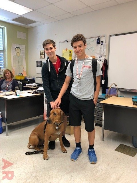 Odin visits at Senior High School MB | Ale Ramos Therapy Animals