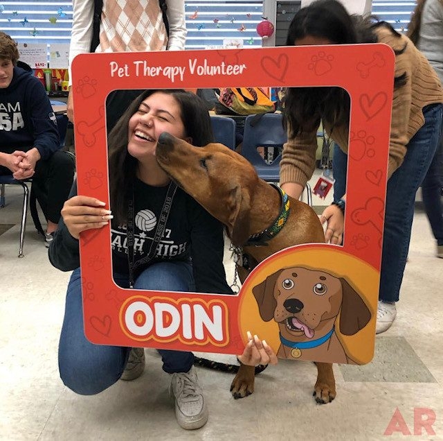 Odin visits at Senior High School MB | Ale Ramos Therapy Animals