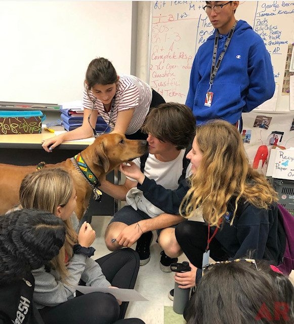Odin visits at Senior High School MB | Ale Ramos Therapy Animals