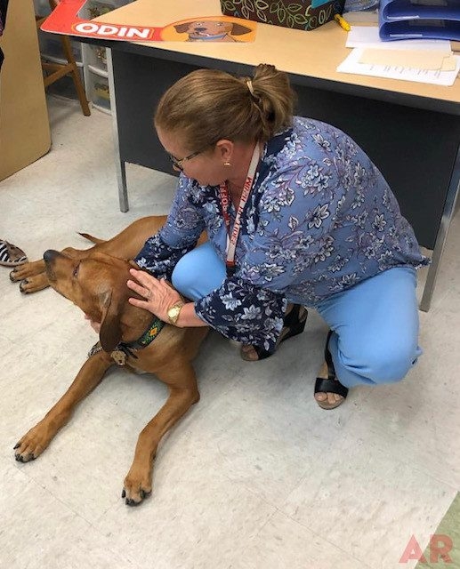 Odin visits at Senior High School MB | Ale Ramos Therapy Animals