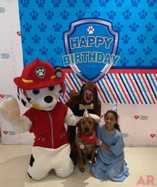 Odin’s Birthday | Ale Ramos Therapy Animals