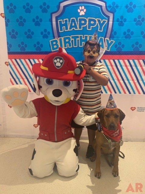 Odin’s Birthday | Ale Ramos Therapy Animals