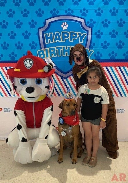 Odin’s Birthday | Ale Ramos Therapy Animals