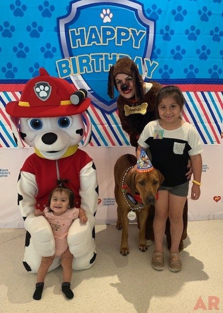 Odin’s Birthday | Ale Ramos Therapy Animals
