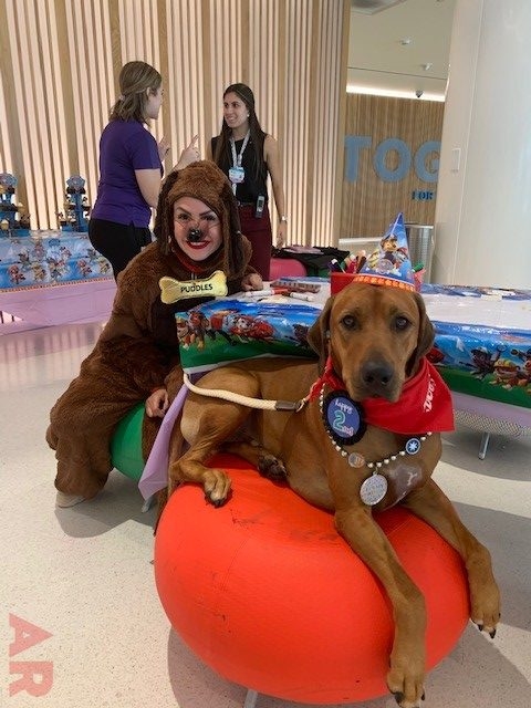 Odin’s Birthday | Ale Ramos Therapy Animals