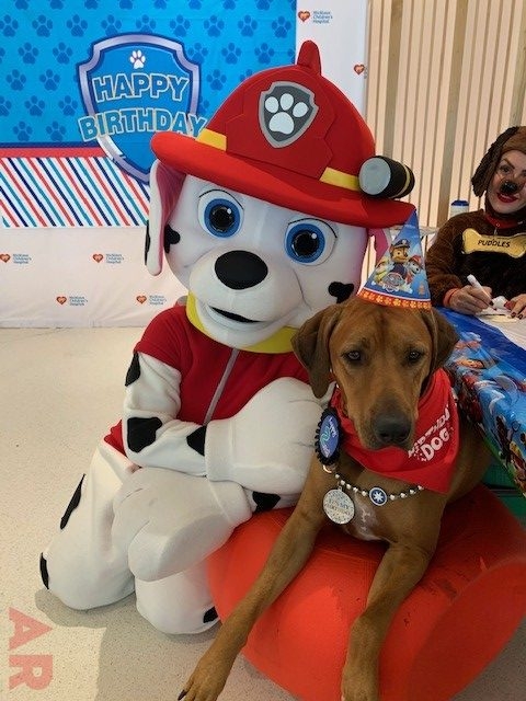 Odin’s Birthday | Ale Ramos Therapy Animals