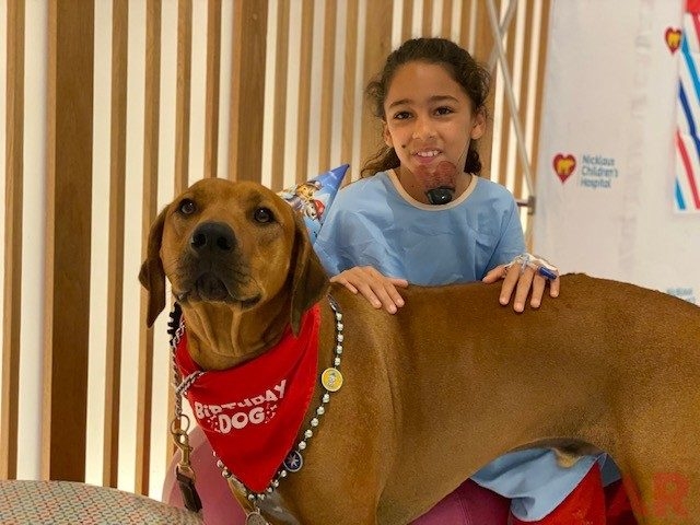 Odin’s Birthday | Ale Ramos Therapy Animals