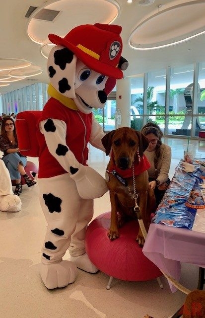 Odin’s Birthday | Ale Ramos Therapy Animals