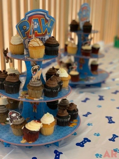 Odin’s Birthday | Ale Ramos Therapy Animals