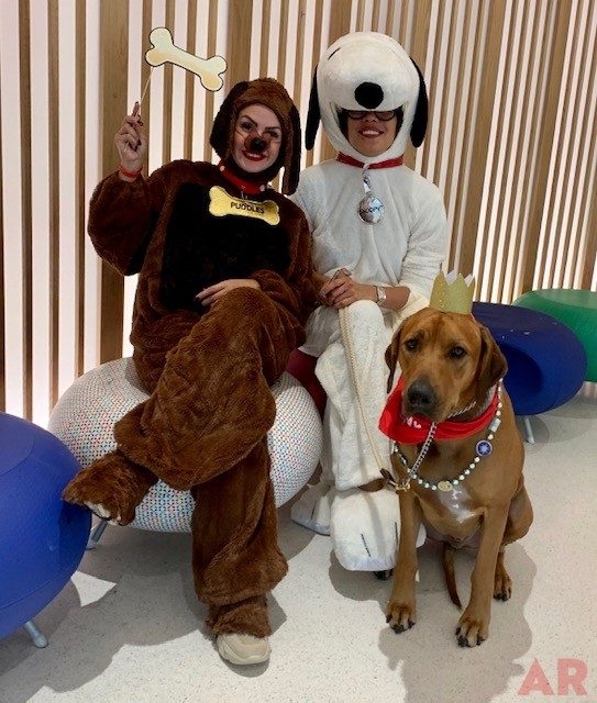 Odin’s Birthday | Ale Ramos Therapy Animals