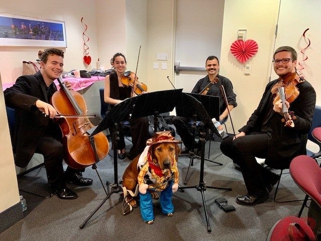 Oncology - Spa Day by Mount Sinai Hospital | Ale Ramos Therapy Animals